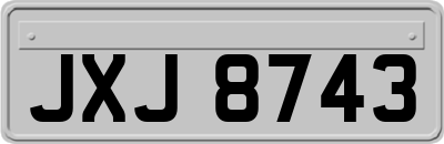 JXJ8743