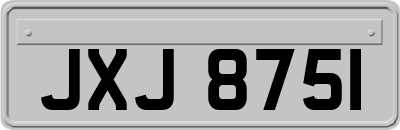 JXJ8751
