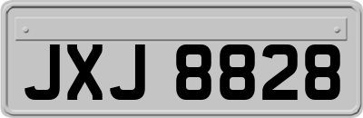 JXJ8828