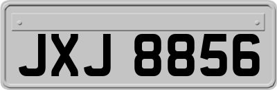 JXJ8856