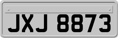JXJ8873
