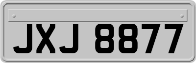 JXJ8877