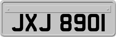 JXJ8901