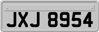 JXJ8954