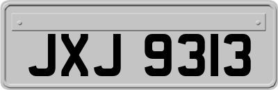JXJ9313