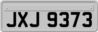 JXJ9373