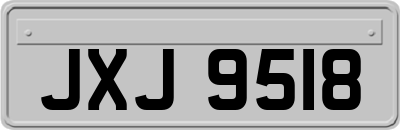 JXJ9518