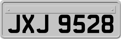 JXJ9528