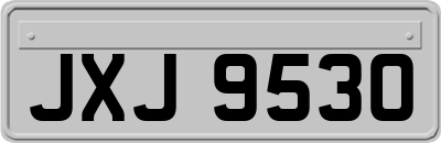 JXJ9530