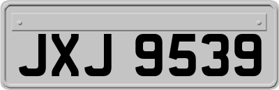 JXJ9539