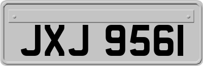 JXJ9561