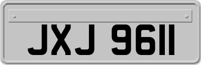 JXJ9611
