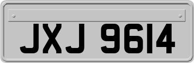 JXJ9614