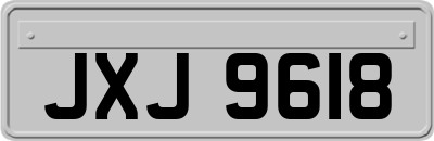 JXJ9618