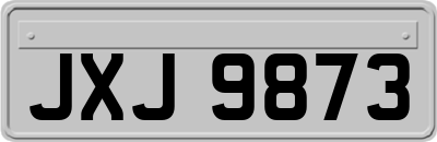 JXJ9873