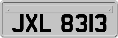 JXL8313