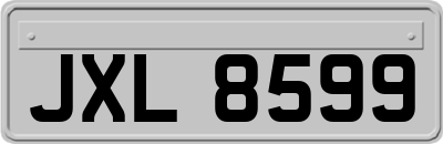 JXL8599