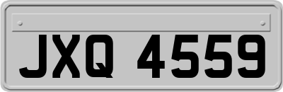 JXQ4559