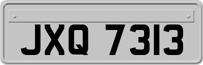 JXQ7313
