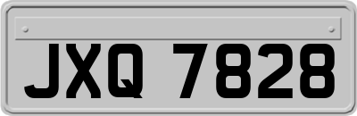 JXQ7828