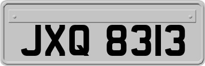 JXQ8313