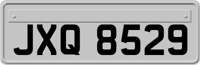 JXQ8529