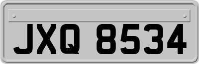 JXQ8534