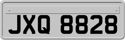 JXQ8828