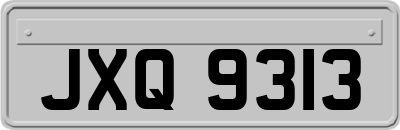 JXQ9313