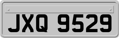 JXQ9529