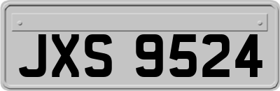 JXS9524