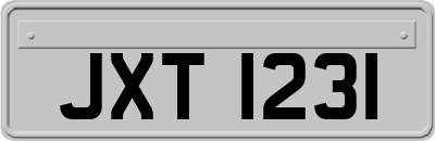 JXT1231