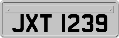 JXT1239