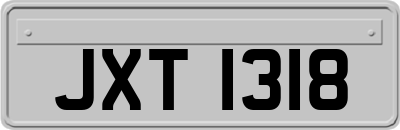 JXT1318