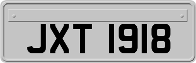 JXT1918