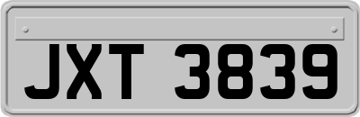JXT3839