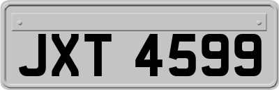 JXT4599
