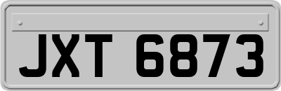 JXT6873
