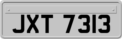 JXT7313