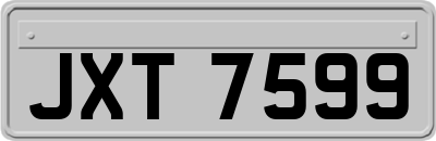JXT7599