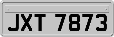 JXT7873