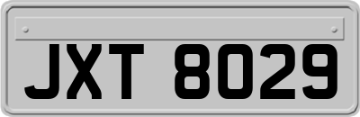 JXT8029