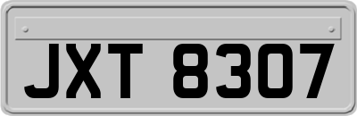 JXT8307