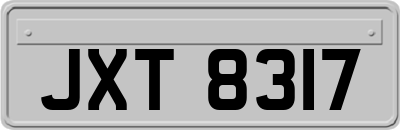 JXT8317