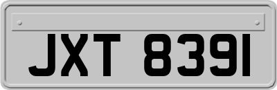 JXT8391