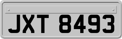 JXT8493