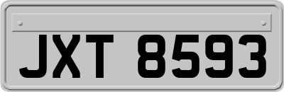 JXT8593