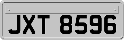 JXT8596