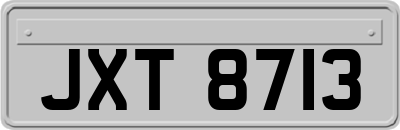 JXT8713