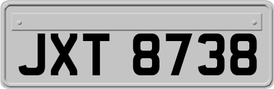 JXT8738